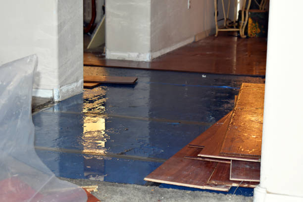 Professional Basement Flood Cleanup technician working in Rye, NH